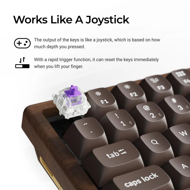 Keychron K2 HE Wireless Magnetic Switch Custom Keyboard - All-Wood Special Edition(US ANSI Layout) - Image 4
